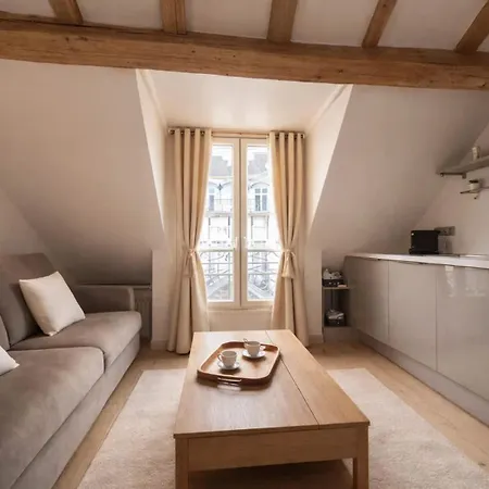 Place Des Vosges Apartment