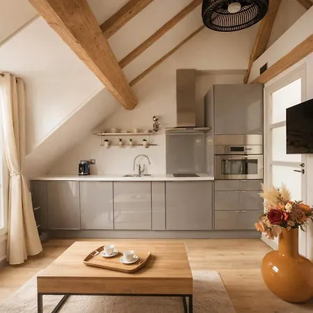 Place Des Vosges Apartment Paris