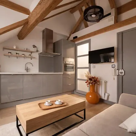 Place Des Vosges Apartment Paris