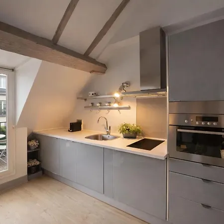 Place Des Vosges Apartment Paris
